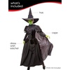 image:imageRubies Wizard of Oz Wicked Witch Costume Dress for Adults