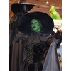 image:imageRubies Wizard of Oz Wicked Witch Costume Dress for Adults