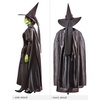 image:imageRubies Wizard of Oz Wicked Witch Costume Dress for Adults