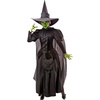 image:imageRubies Wizard of Oz Wicked Witch Costume Dress for Adults